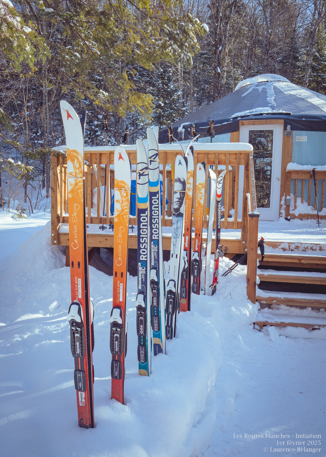 Initiation I : Introduction au ski nordique