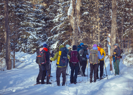 Initiation I : Introduction au ski nordique
