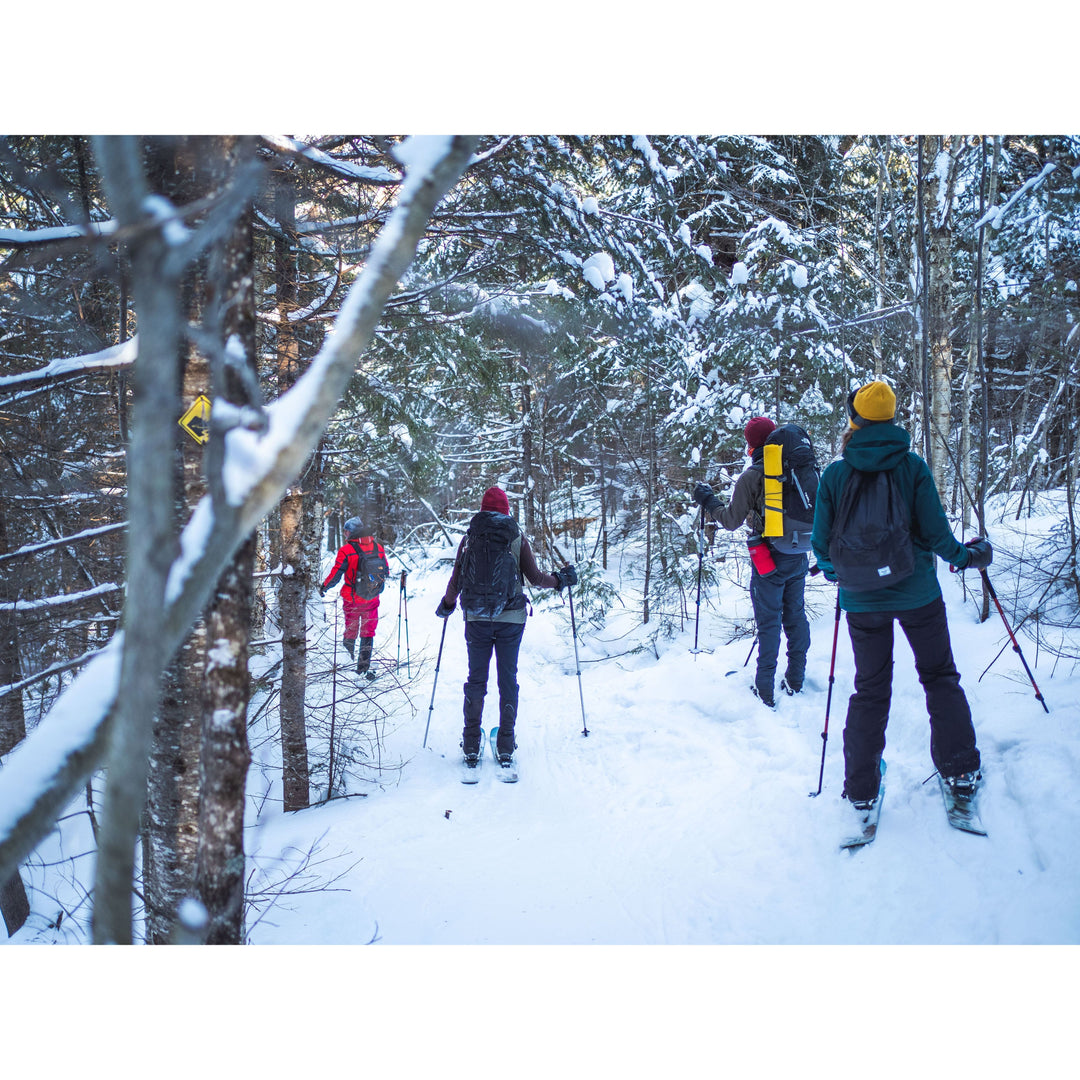 Ski OAC pour adultes - Locapaq